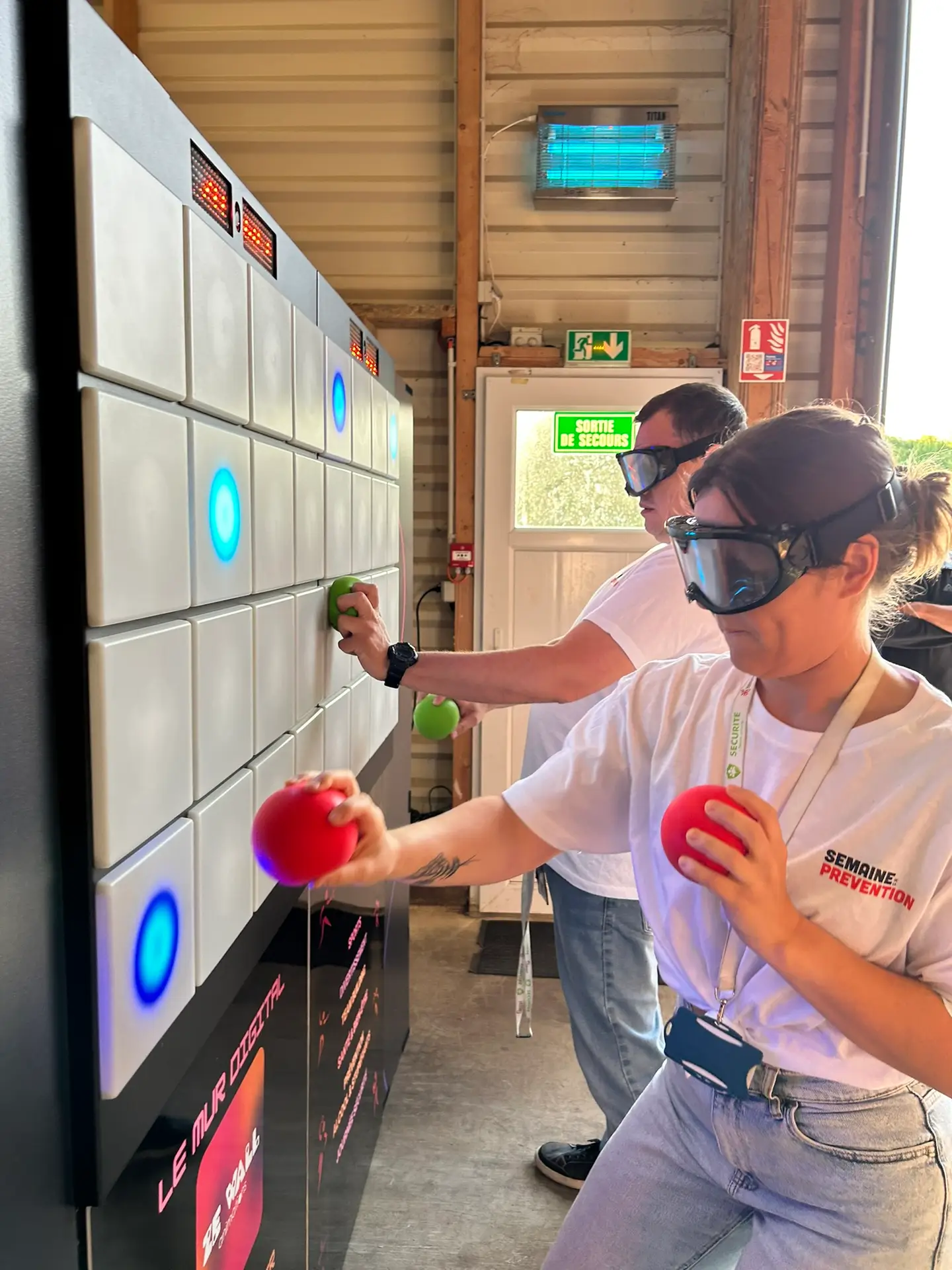 salaisons_celtique_zewall-animations